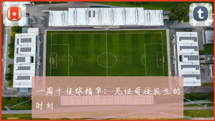 一周十佳球精华：见证奇迹发生的时刻