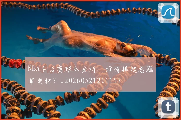 NBA季后赛球队分析:谁将捧起总冠军奖杯?_20260521201157