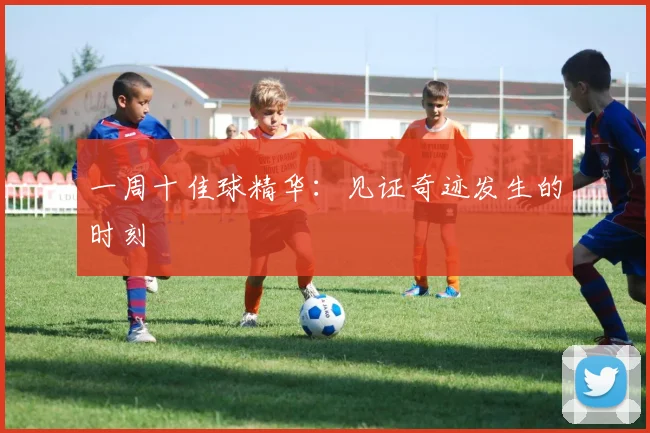一周十佳球精华：见证奇迹发生的时刻